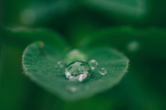 aaron-burden-dXYE1d08BiY-unsplash
